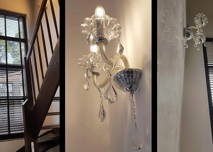 Leo Royal فيلة *